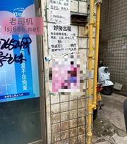 株洲合泰街扫街 150