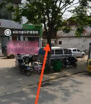 阜阳站街探店 200