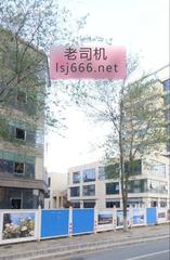 吉林路边的野花打卡