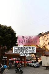 西双版纳村里爽记 150