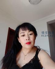 颜值逼紧的小海豹