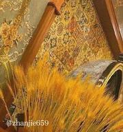 威海推油体验 400