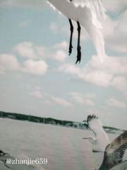 周口探店足疗值得去 299