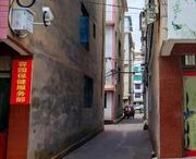 玉溪葫芦园验证 100