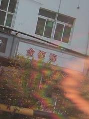 扬州丝袜值得去 339