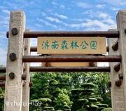 济南森林公园探店