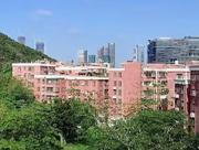 珠海横琴下村探店